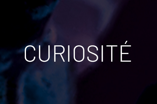 Nos 6 valeurs : la curiosité - Luxembourg OPHRYS ®