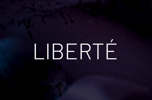 Nos 6 valeurs : la liberté - Luxembourg OPHRYS ®