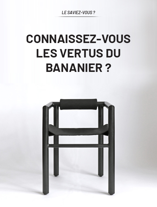 Connaissez-vous les vertus du bananier ?